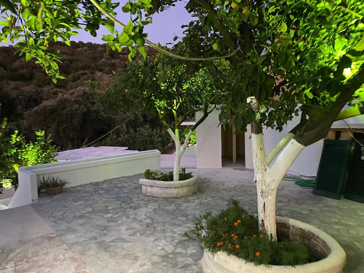 Villa Nouli Sarakiniko  Exteriör bild